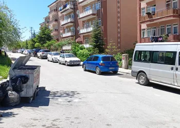 15 yaşındaki çocuk ablasını sırtından bıçaklayarak öldürdü