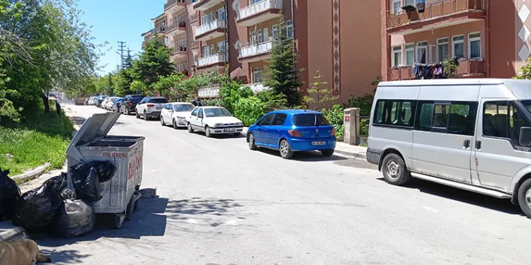 15 yaşındaki çocuk ablasını sırtından bıçaklayarak öldürdü