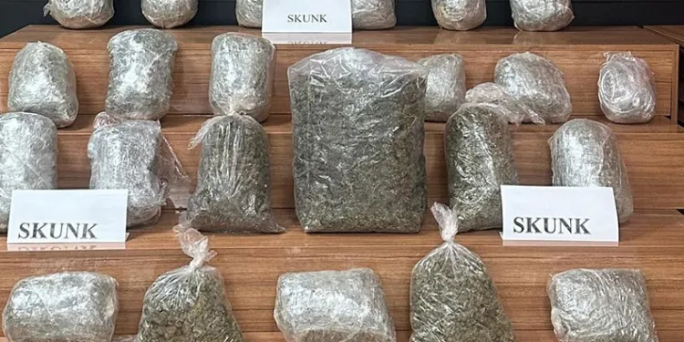 Şanlıurfa’da durdurulan araçtan 22 kilogram uyuşturucu çıktı