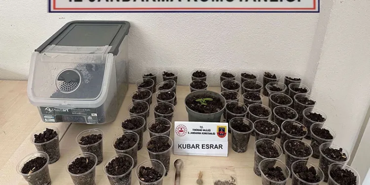 Tekirdağ’da uyuşturucu, silah ve tütün operasyonu