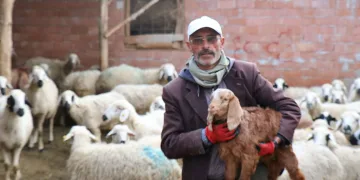 Muhtar olamadı, meşhur oldu