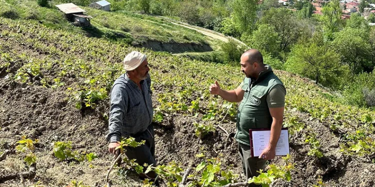 Sahayı adım adım dolaşıyorlar
