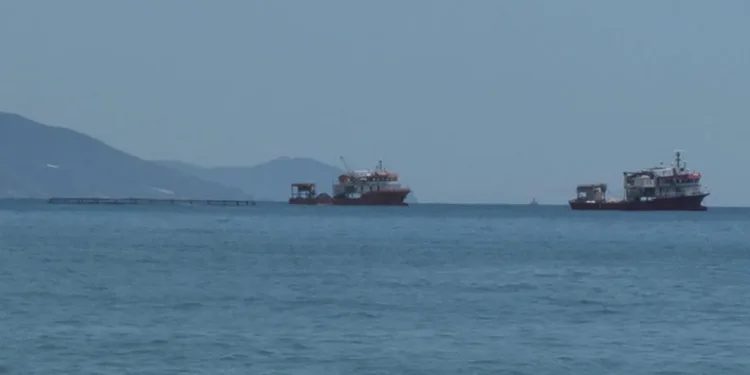 Alanya sahillerindeki orkinos çiftliklerine ttepki