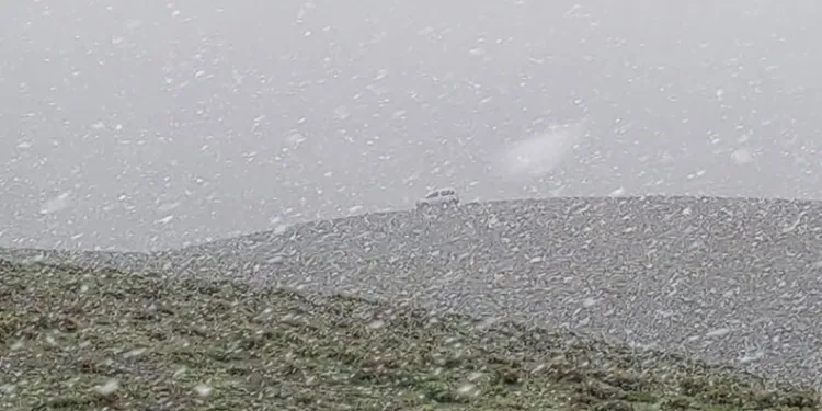 Van’ın yüksek kesimlerinde mayıs ayında lapa lapa kar yağdı