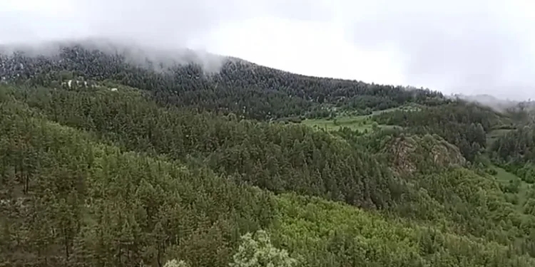Coreker Yaylası’na kar yağdı