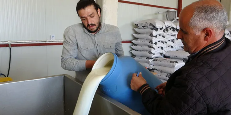 Süt Toplama Merkezleri yaygınlaşıyor