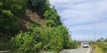 Karadeniz Sahil Yolu’nda heyelan