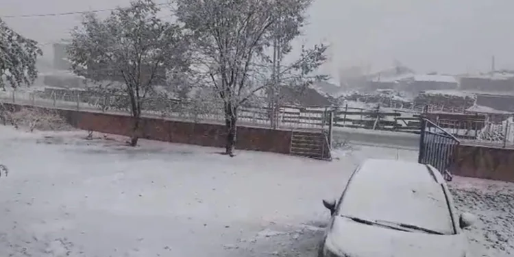 Aşkale’de kar yağışı etkili oluyor