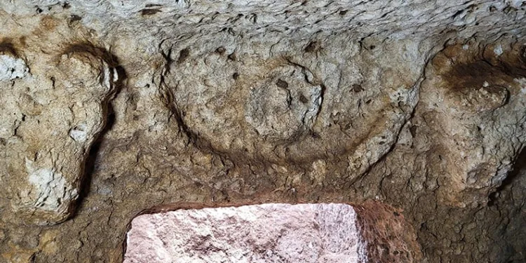 Antik Kentte boğa başı bulunan mezar bulundu