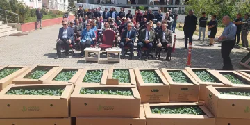 Bostan fideleri devletten