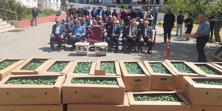 Bostan fideleri devletten