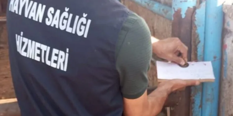 Bakan Yumaklı: “Amasya’daki hayvana eziyet görüntüleri kesinlikle kabul edilebilir değildir”