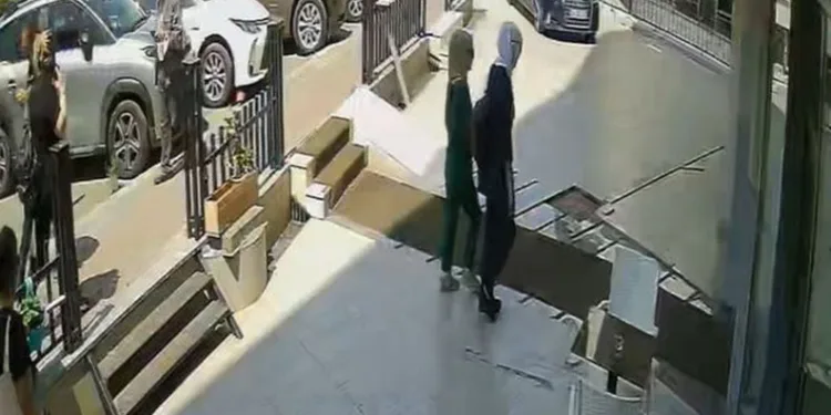 2 kadın hırsız altın dolu kasayı alıp götürdü