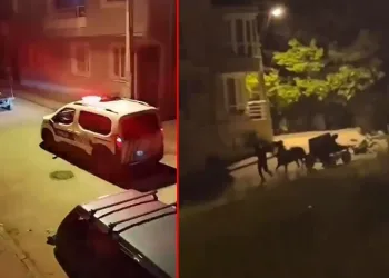 Bursa’da at arabası ile hırsızlık yapan şahıslar yakalandı