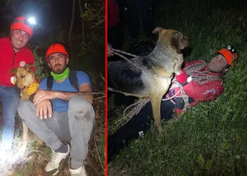 Uludağ’da mahsur kalan köpeğe kurtarma operasyonu