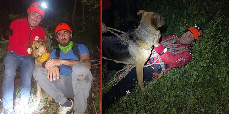 Uludağ’da mahsur kalan köpeğe kurtarma operasyonu