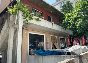 Miras meselesi yüzünden annesi ve kardeşini öldürdü