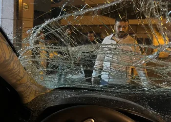 Bursa’da seyir halindeki otomobile at çarptı