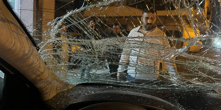 Bursa’da seyir halindeki otomobile at çarptı