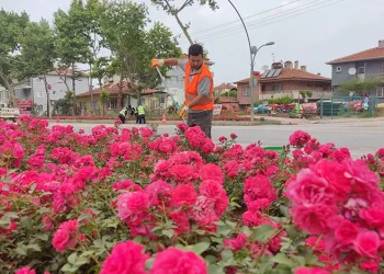 Yenişehir’in vitrininde bahar havası