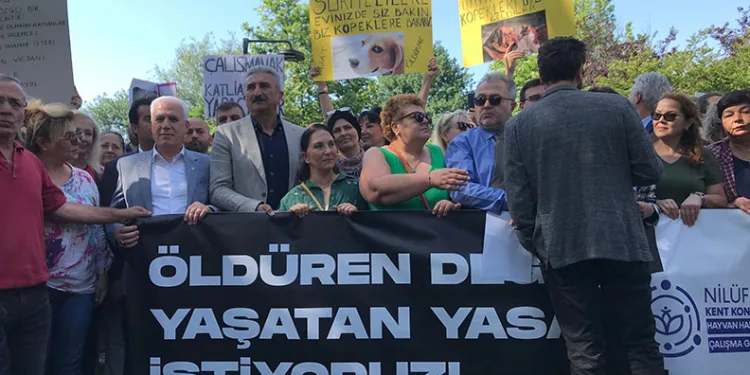 Bursa’da sokak hayvanları düzenlemesine protesto