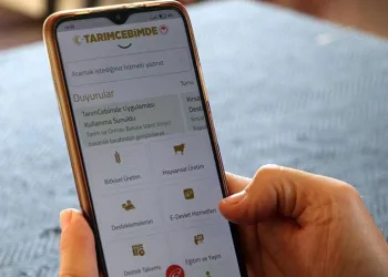 Üç adımda kurbanlık sorgulaması