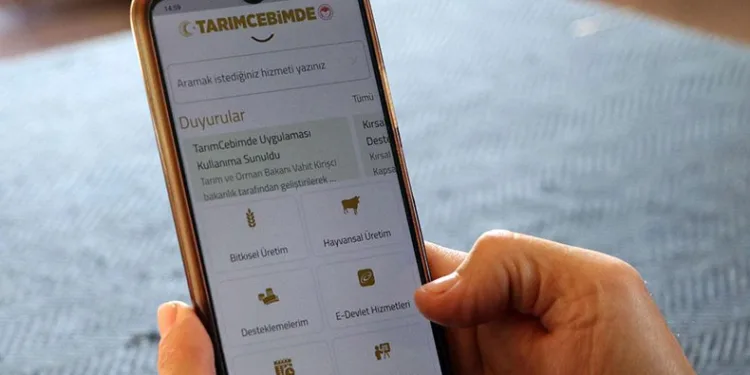 Üç adımda kurbanlık sorgulaması