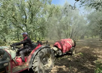 İznikli çiftçiye şaka gibi ceza