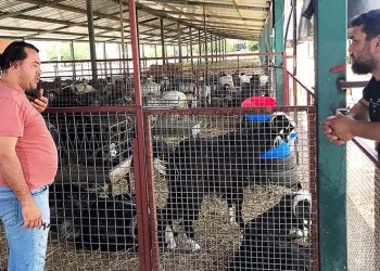Kurban kesim yerleri kontrolden geçti