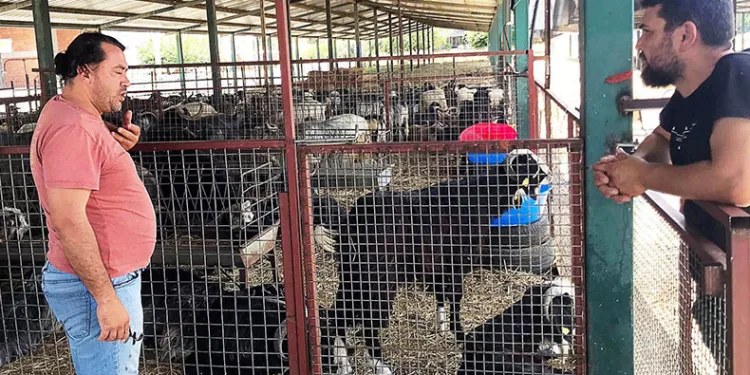 Kurban kesim yerleri kontrolden geçti