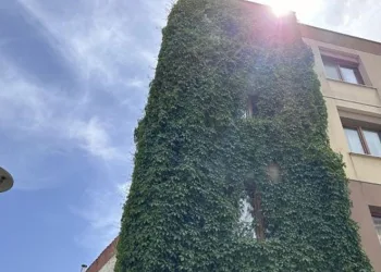 Görenleri kendisine hayran bırakıyor