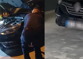 Otomobile giren yılan böyle çıktı
