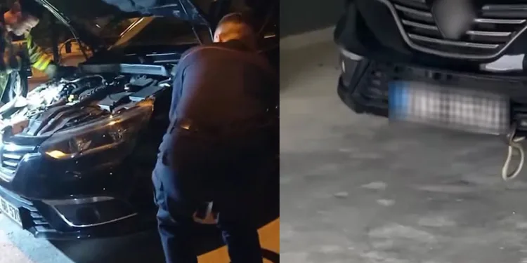 Otomobile giren yılan böyle çıktı