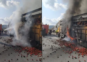 Tarsus’ta domates yüklü kamyon yandı