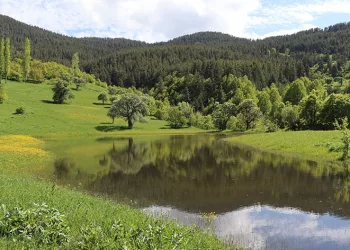 Erzurum’un yaylalarında bahar esintisi