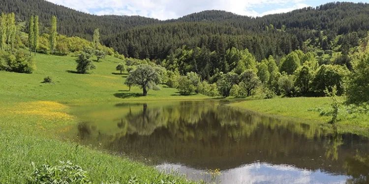 Erzurum’un yaylalarında bahar esintisi