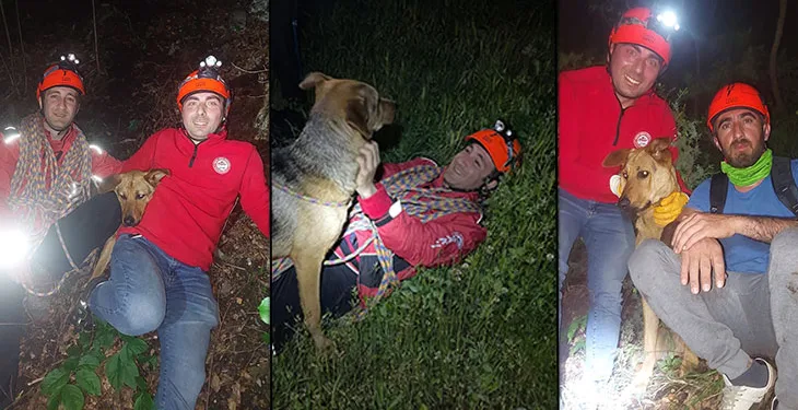 Uludağ’da mahsur kalan köpeğe kurtarma operasyonu