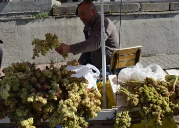 Işgın tezgahlardaki yerini aldı