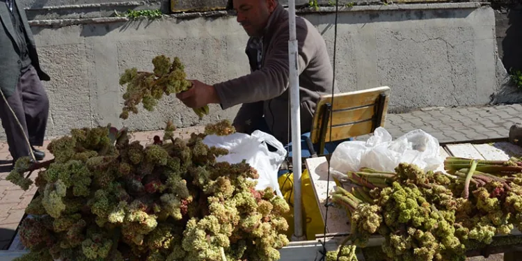 Işgın tezgahlardaki yerini aldı
