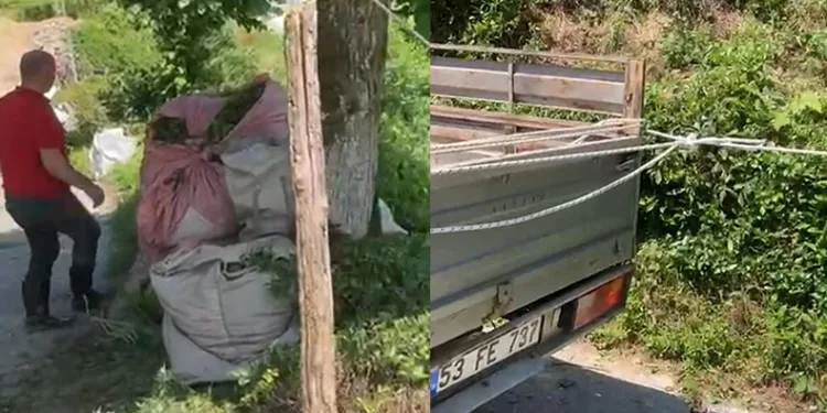 Rizeli’nin çay taşıma yöntemi ilgi çekti