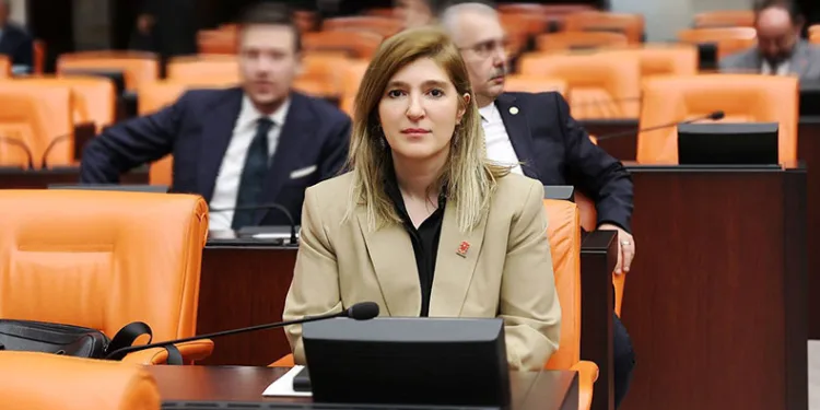 Milletvekili Ölmeztoprak’tan İsraile tepki
