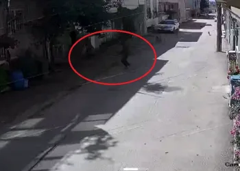 Bursa’da sokak köpekleri 3 çocuğa saldırdı