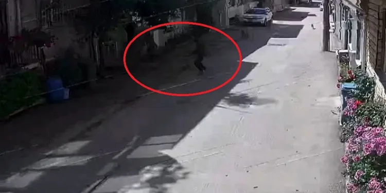 Bursa’da sokak köpekleri 3 çocuğa saldırdı