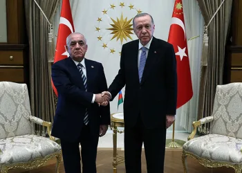 Cumhurbaşkanı Erdoğan, Asodov’u kabul etti