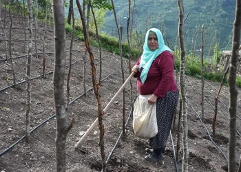 Tohumları toprakla buluşturuyorlar