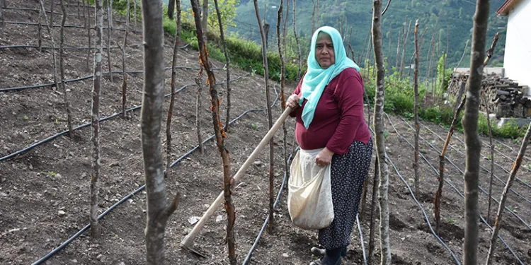 Tohumları toprakla buluşturuyorlar