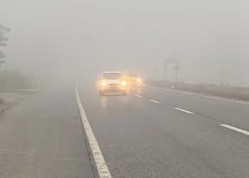 Sakarya güne sisle uyandı