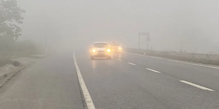 Sakarya güne sisle uyandı
