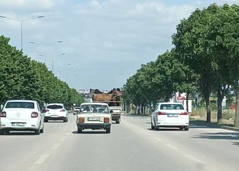 Kamyonetin kasasına 5 adet at sığdırdı