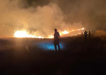 Ormanlık alandaki yangın söndürüldü